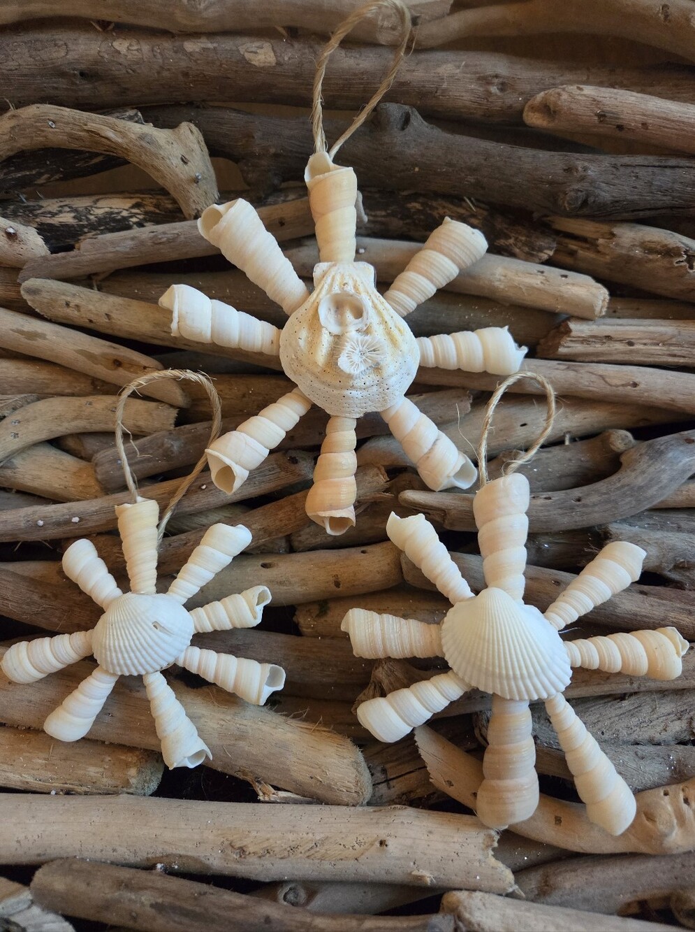 Seashell Starburst Hanging Ornament - Natural White Set of Three